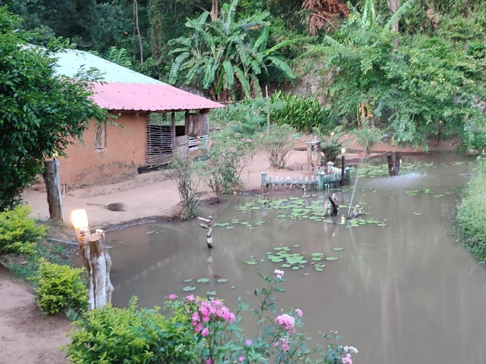 Eco Lodge Meemure & Adventure Park Mimure Exterior photo